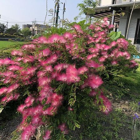 Early Summer Luodong Extérieur photo