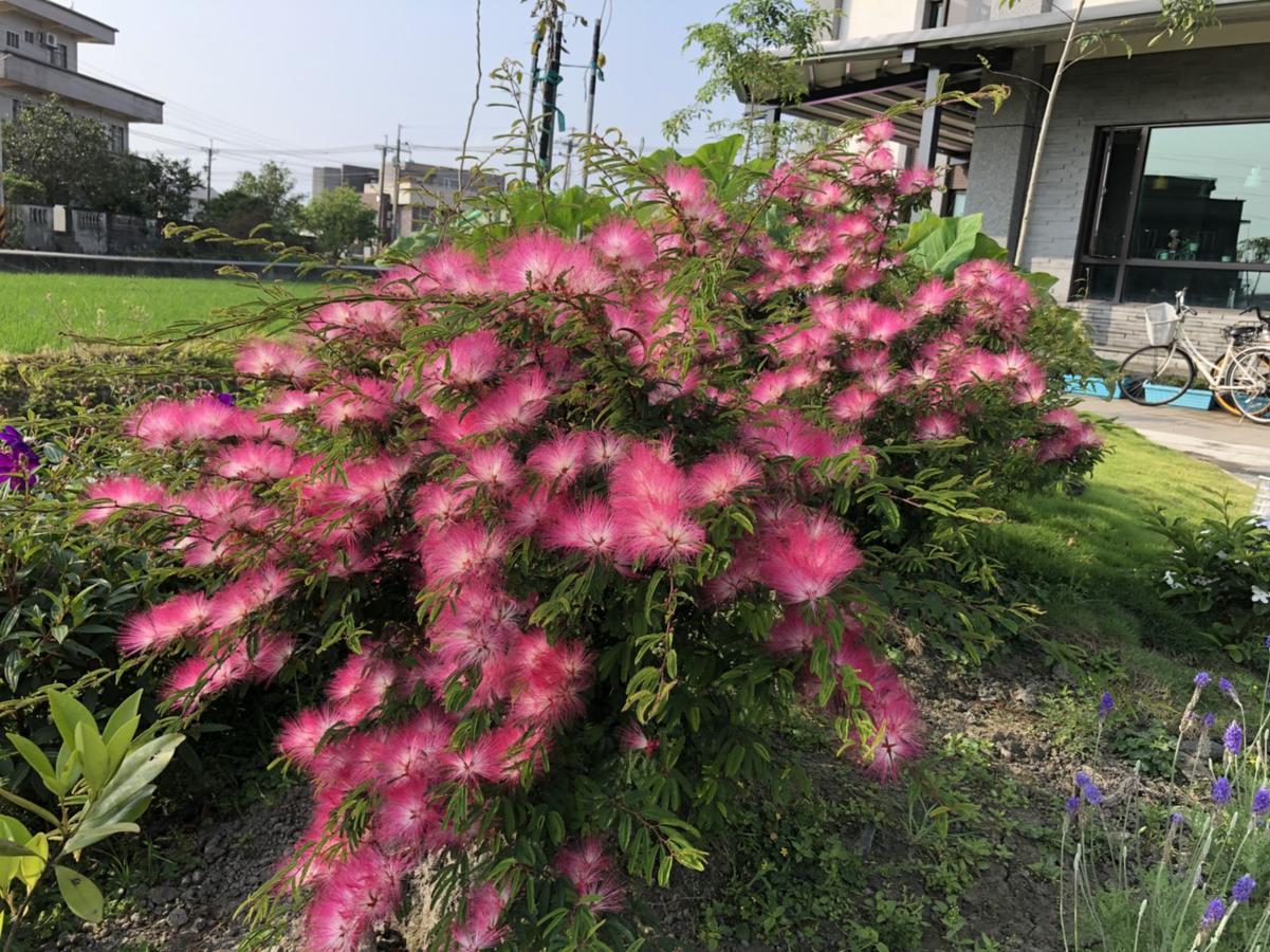 Early Summer Luodong Extérieur photo